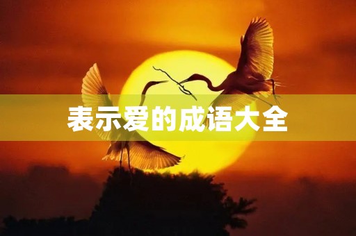 表示爱的成语大全