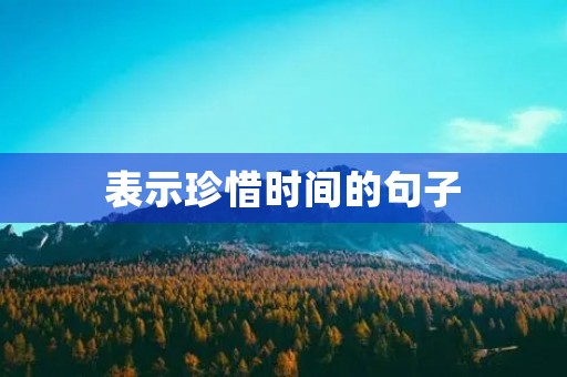 表示珍惜时间的句子(长歌行表示珍惜时间的句子)