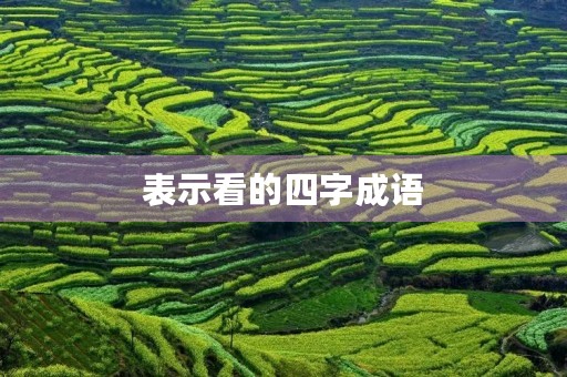 表示看的四字成语