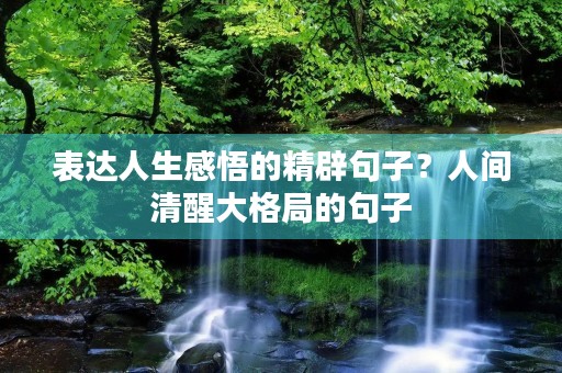 表达人生感悟的精辟句子?人间清醒大格局的句子 表达人生感悟的精辟句子?人间清醒大格局的句子