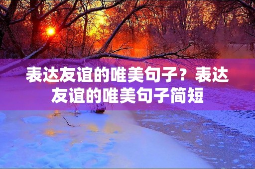 表达友谊的唯美句子?表达友谊的唯美句子简短 表达友谊的唯美句子?表达友谊的唯美句子简短