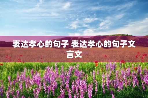 表达孝心的句子 表达孝心的句子文言文 表达孝心的句子 表达孝心的句子文言文
