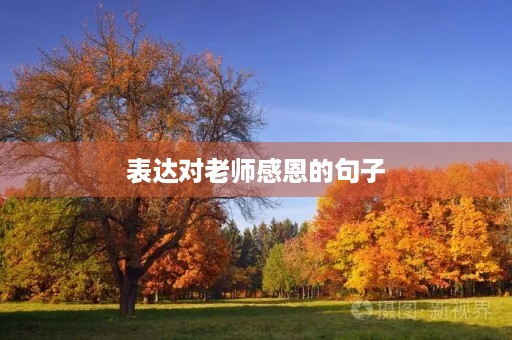 表达对老师感恩的句子，表达对老师感恩的句子,较短