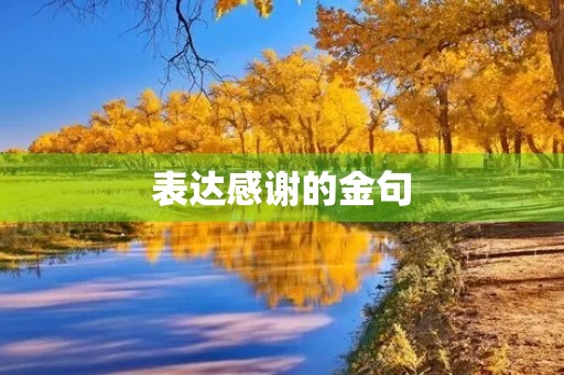表达感谢的金句,高情商的感谢语言 表达感谢的金句,高情商的感谢语言
