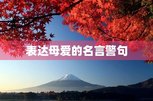 表达母爱的名言警句(表达母爱的名言警句或古诗词) 表达母爱的名言警句(表达母爱的名言警句或古诗词)