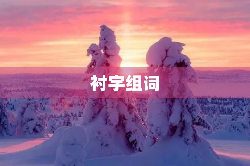衬字组词(衬组词) 衬字组词(衬组词)