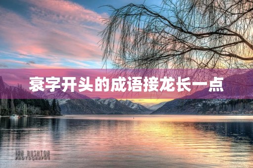 衰字开头的成语接龙长一点