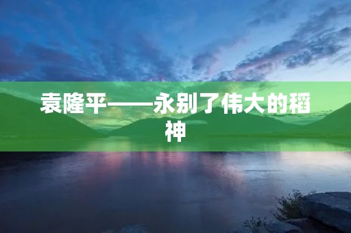 袁隆平——永别了伟大的稻神