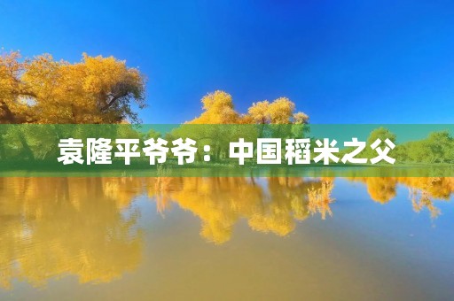 袁隆平爷爷:中国稻米之父 袁隆平爷爷:中国稻米之父