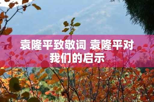 袁隆平致敬词 袁隆平对我们的启示