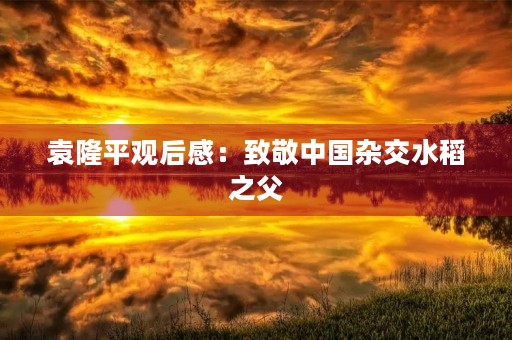 袁隆平观后感:致敬中国杂交水稻之父 袁隆平观后感:致敬中国杂交水稻之父