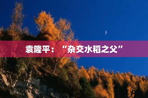 袁隆平：“杂交水稻之父”