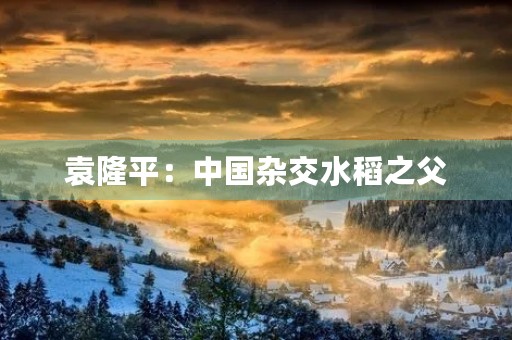 袁隆平：中国杂交水稻之父