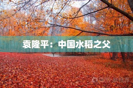 袁隆平：中国水稻之父