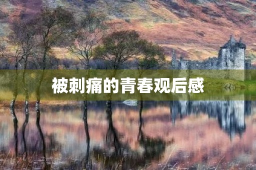 被刺痛的青春观后感 被刺痛的青春观后感