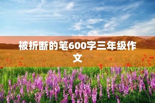被折断的笔600字三年级作文 被折断的笔600字三年级作文