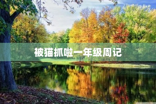 被猫抓啦一年级周记