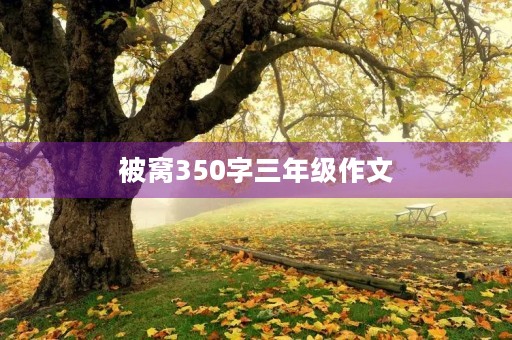 被窝350字三年级作文