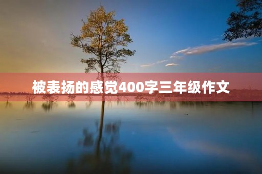 被表扬的感觉400字三年级作文