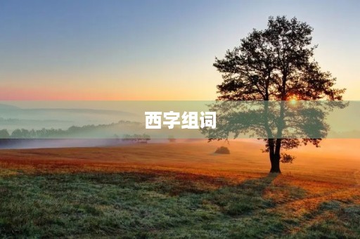西字组词(西组词)