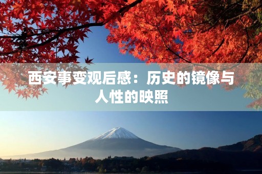 西安事变观后感:历史的镜像与人性的映照 西安事变观后感:历史的镜像与人性的映照