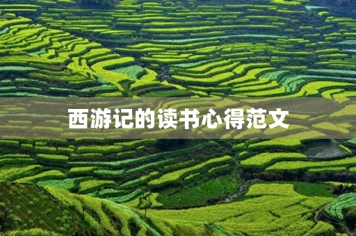 西游记的读书心得范文