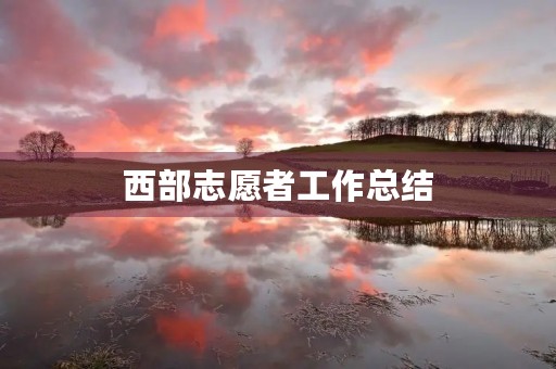 西部志愿者工作总结