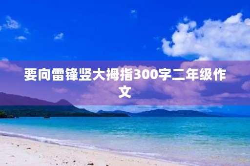 要向雷锋竖大拇指300字二年级作文