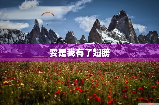 要是我有了翅膀