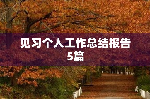见习个人工作总结报告5篇
