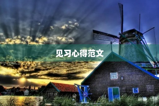 见习心得范文
