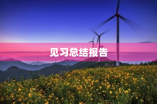 见习总结报告