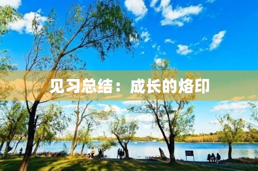 见习总结：成长的烙印