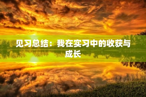 见习总结：我在实习中的收获与成长