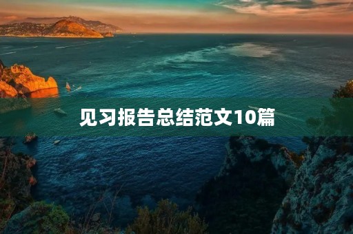 见习报告总结范文10篇 见习报告总结范文10篇