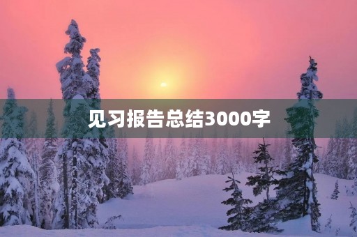 见习报告总结3000字 见习报告总结3000字
