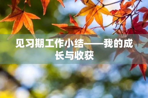见习期工作小结——我的成长与收获 见习期工作小结——我的成长与收获