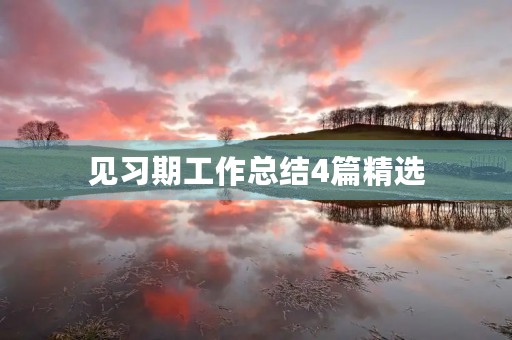 见习期工作总结4篇精选