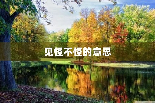 见怪不怪的意思