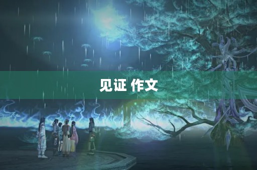 见证 作文