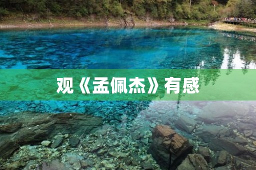 观《孟佩杰》有感