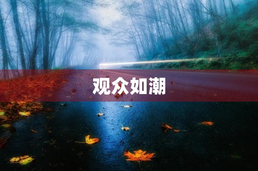 观众如潮，成语的魅力