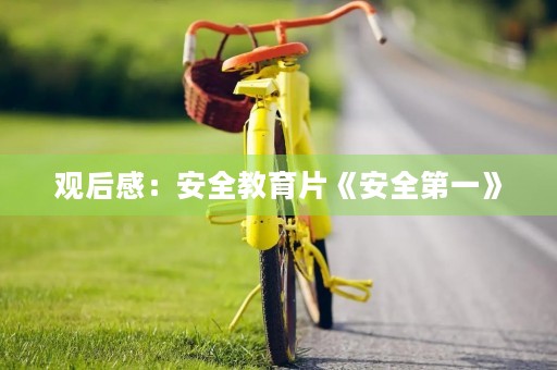 观后感：安全教育片《安全第一》