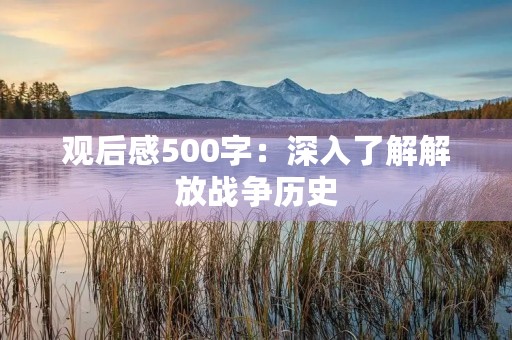 观后感500字：深入了解解放战争历史