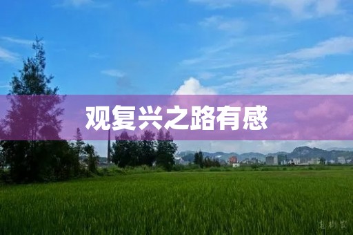 观复兴之路有感