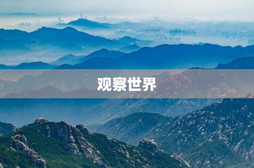 观察世界，发现美好