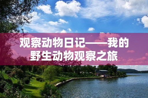 观察动物日记——我的野生动物观察之旅 观察动物日记——我的野生动物观察之旅