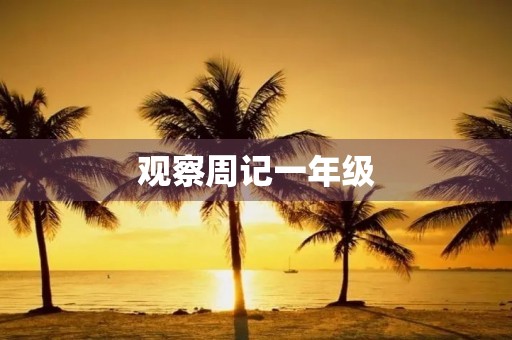 观察周记一年级