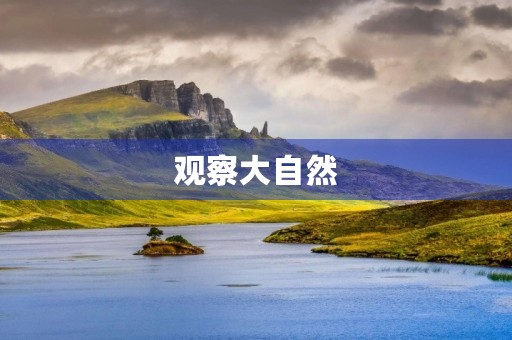 观察大自然 观察大自然