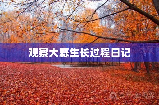 观察大蒜生长过程日记 观察大蒜生长过程日记